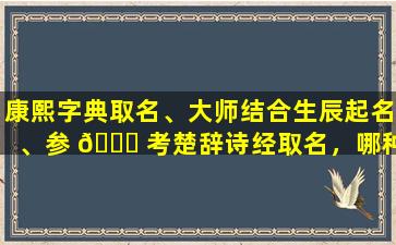 康熙字典取名、大师结合生辰起名、参 🐅 考楚辞诗经取名，哪种方法更适合你